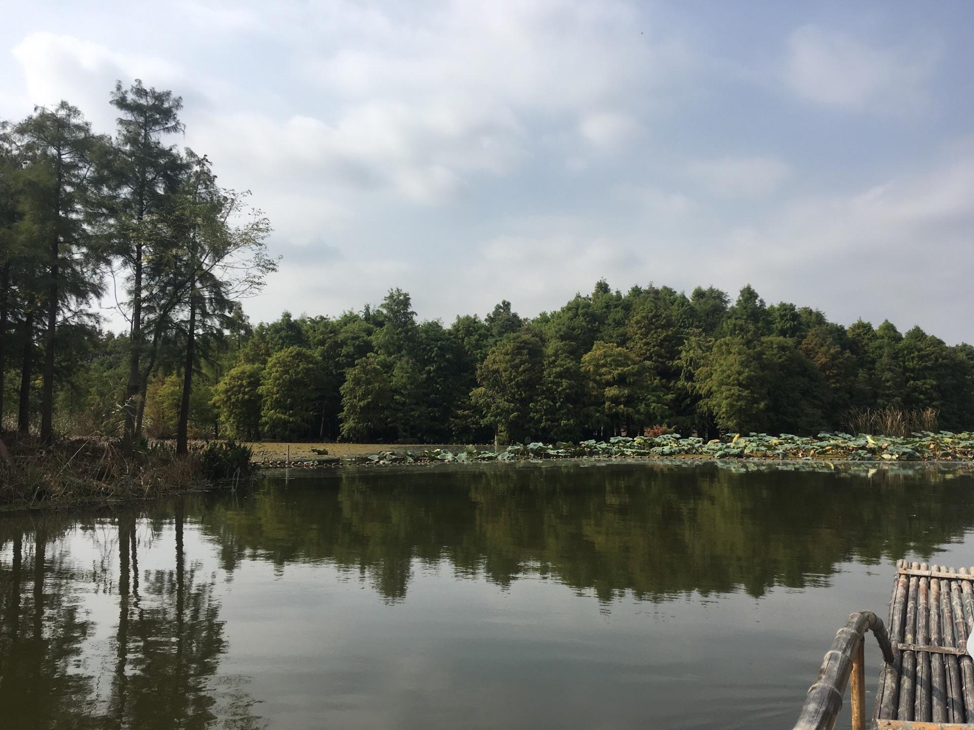 烟雨尚湖 水墨寻梦